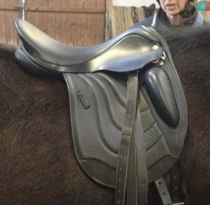 Comfort Elite Rapport Pony Mono flap Saddle by Saddle Rxchange Saddling Solutions
