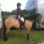 Jo Brew and Mr B in Their Comfort Seeker, Native Pony Fit
