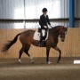 Kim Sleath, British Dressage Approved Trainer, Grand Prix Rider and Fitting agent for Leicestershire , Derbyshire & Nottinghamshire riding her Warmblood Mare Angelita in her Grand Prix Dressage saddle, flock panel, Warmblood fit.