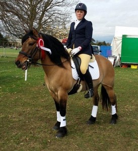 Kylie Hardington and Lochaweside Southy winning the Dressage Championship at Belton Horse Trials 2014 in her Comfort Elite Rapport, Native Pony Fit.