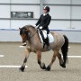 The Saddle is even correct enough to be used by the discerning Dressage Judge. Rebecca Chalmers and Prince Harry in their Grand Prix Cob, flocked panel, Native Pony Fit.