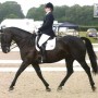 Catherine & Prince Maurice, Riding in their Comfort Grand Prix, Flock Panel, Warmblood fit.