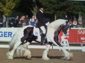 Aly Matravers and Tiger Tim Competing at the British Dressage Restricted Novice Final in the Cadence Native Pony Fit.