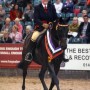 Jo Brew & Angel Winning Search For A Star HOYS 2012 in her Mathew Lawrence Showing Saddle, Sports horse Fit.