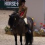 Mathew and Tower Clyde Winning Ridden Mountain & Moorland at HOYS in 2011 in the Comfort Mathew Lawrence Native Pony Fit.